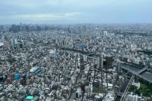 Tokyo in Frames: Instagram-Worthy Private Full-Day City Tour