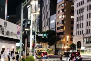 Tokyo in Frames: Instagram-Worthy Private Full-Day City Tour