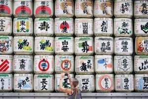 Tokyo : visite Instagram Highlights avec un guide agréé