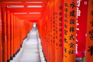 Tokyo : visite Instagram Highlights avec un guide agréé