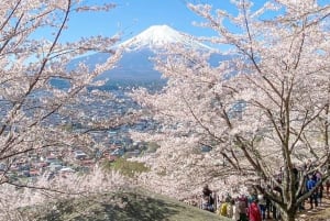 Nur für kurze Zeit: Fuji & Hakone, GRATIS Piratenschiff & Owakudani Seilbahn