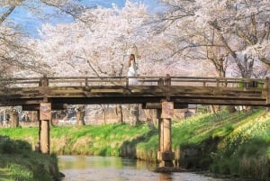 Nur für kurze Zeit: Fuji & Hakone, GRATIS Piratenschiff & Owakudani Seilbahn