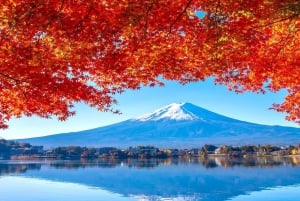 Nur für kurze Zeit: Fuji & Hakone, GRATIS Piratenschiff & Owakudani Seilbahn