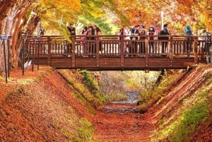 Nur für kurze Zeit: Fuji & Hakone, GRATIS Piratenschiff & Owakudani Seilbahn