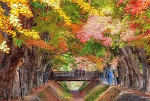 Nur für kurze Zeit: Fuji & Hakone, GRATIS Piratenschiff & Owakudani Seilbahn