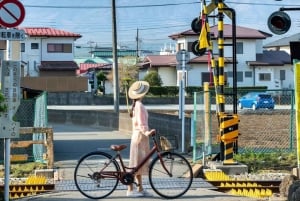 Nur für kurze Zeit: Fuji & Hakone, GRATIS Piratenschiff & Owakudani Seilbahn