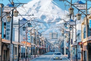 Nur für kurze Zeit: Fuji & Hakone, GRATIS Piratenschiff & Owakudani Seilbahn