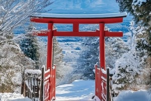 Nur für kurze Zeit: Fuji & Hakone, GRATIS Piratenschiff & Owakudani Seilbahn