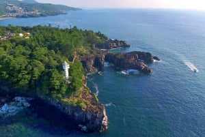 Tokio: Izu-Halbinsel Zug Mt Omuro, Capybara-Sightseeing-Tour