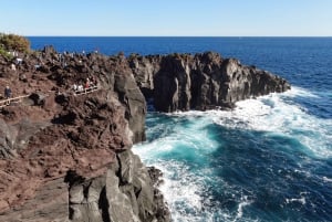 Tokio: Izu-Halbinsel Zug Mt Omuro, Capybara-Sightseeing-Tour