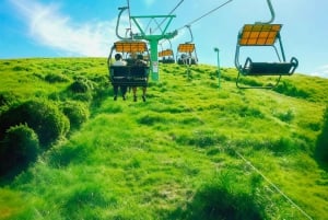 Tokio: Izu-Halbinsel Zug Mt Omuro, Capybara-Sightseeing-Tour