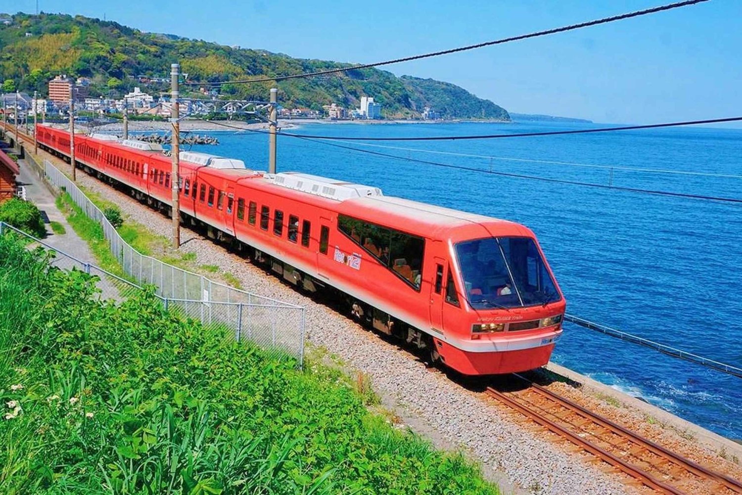 Tokyo: Izu Scenic Oceanview Train, vulkan, dagsutflykt till kusten