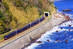 Tokyo: Izu Scenic Oceanview Train, vulkan, dagsutflykt till kusten