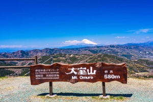 Tokyo: Izu Scenic Oceanview Train, vulkan, dagsutflykt till kusten