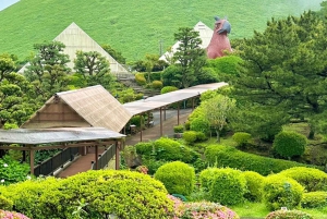 Tokyo: Izu Scenic Oceanview Train, vulkan, dagsutflykt till kusten