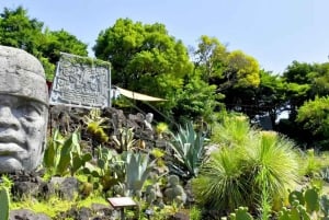 Tokyo: Izu Scenic Oceanview Train, vulkan, dagsutflykt till kusten