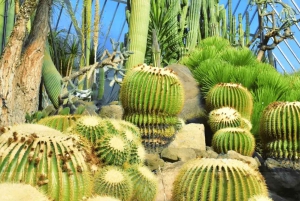 Tokyo: Izu Scenic Oceanview Train, vulkan, dagsutflykt till kusten