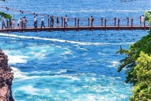 Tokyo: Izu Scenic Oceanview Train, vulkan, dagsutflykt till kusten