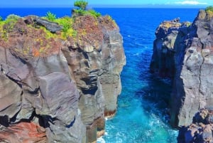 Tokyo: Izu Scenic Oceanview Train, vulkan, dagsutflykt till kusten