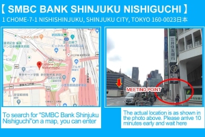 Tokyo: Izu Scenic Oceanview Train, vulkan, dagsutflykt till kusten