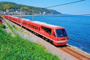 Tokyo: Izu Scenic Oceanview Train, vulkan, dagstur langs kysten