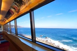 Tokyo: Izu Scenic Oceanview Train, vulkan, dagstur langs kysten