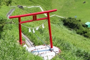 Tokyo: Izu Scenic Oceanview Train, vulkan, dagstur langs kysten