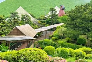 Tokyo: Izu Scenic Oceanview Train, vulkan, dagstur langs kysten