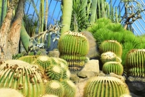 Tokyo: Izu Scenic Oceanview Train, vulkan, dagstur langs kysten