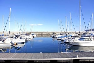 Tokyo: Izu Scenic Oceanview Train, vulkan, dagstur langs kysten