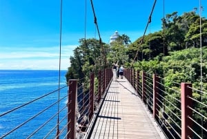 Tokyo: Izu Scenic Oceanview Train, vulkan, dagstur langs kysten