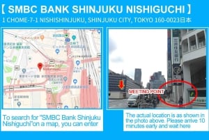 Tokyo: Izu Scenic Oceanview Train, vulkan, dagstur langs kysten