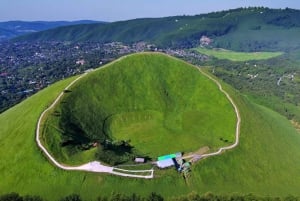 Tokyo:Izu Penisula Train Mt Omuro, Capybara Sightseeing Trip