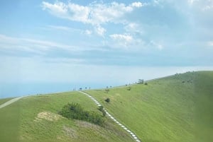 Tokyo:Izu Penisula Train Mt Omuro, Capybara Sightseeing Trip