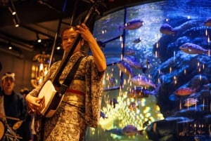 Tokyo: Japanese Experiece Dinner with Diving Ama Performance