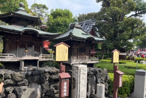 Tóquio: aula de japonês e passeio a pé pela cidade