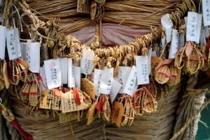 Tokyo: Japanese Shopping Secrets and Food Tastings Tour