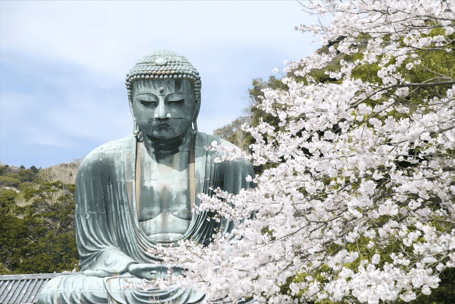 Tokyo: tour di un giorno a Kamakura ed Enoshima con pick-up e viaggio in treno