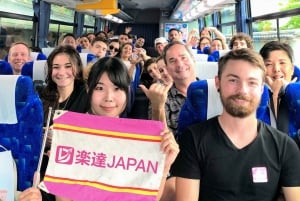 Tokyo: Kamakura & Enoshima Day Tour with Pickup & Train Ride