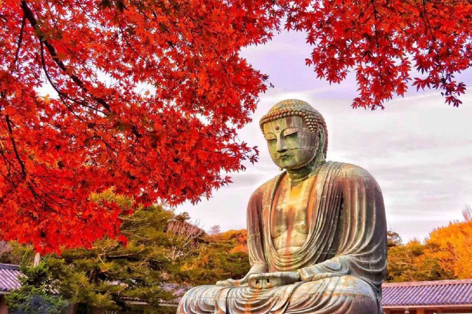 Tokyo: Kamakura, Enoshima-tur med tog, Great Buddha