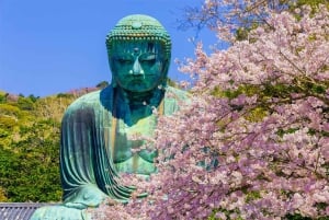 Tokyo: gita a Kamakura ed Enoshima in treno, Grande Buddha