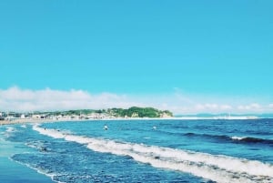 Tokyo: gita a Kamakura ed Enoshima in treno, Grande Buddha