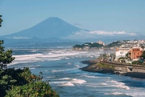 Tokyo: gita a Kamakura ed Enoshima in treno, Grande Buddha