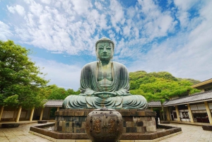 Tokyo: Kamakura, Enoshima-tur med tog, Great Buddha