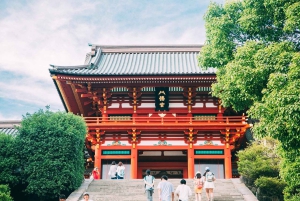 Tokyo: Kamakura, Enoshima-tur med tog, Great Buddha