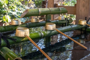 Tokyo: Kamakura, Enoshima-tur med tog, Great Buddha