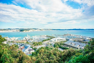 Tokyo: Kamakura, Enoshima-tur med tog, Great Buddha