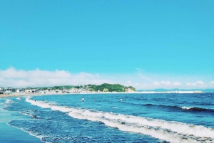 Tokyo: Kamakura, Enoshima-tur med tog, Great Buddha