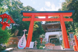 Tokyo: Kamakura, Enoshima-tur med tog, Great Buddha