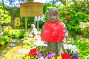 Tokyo: Kamakura, Enoshima-tur med tog, Great Buddha